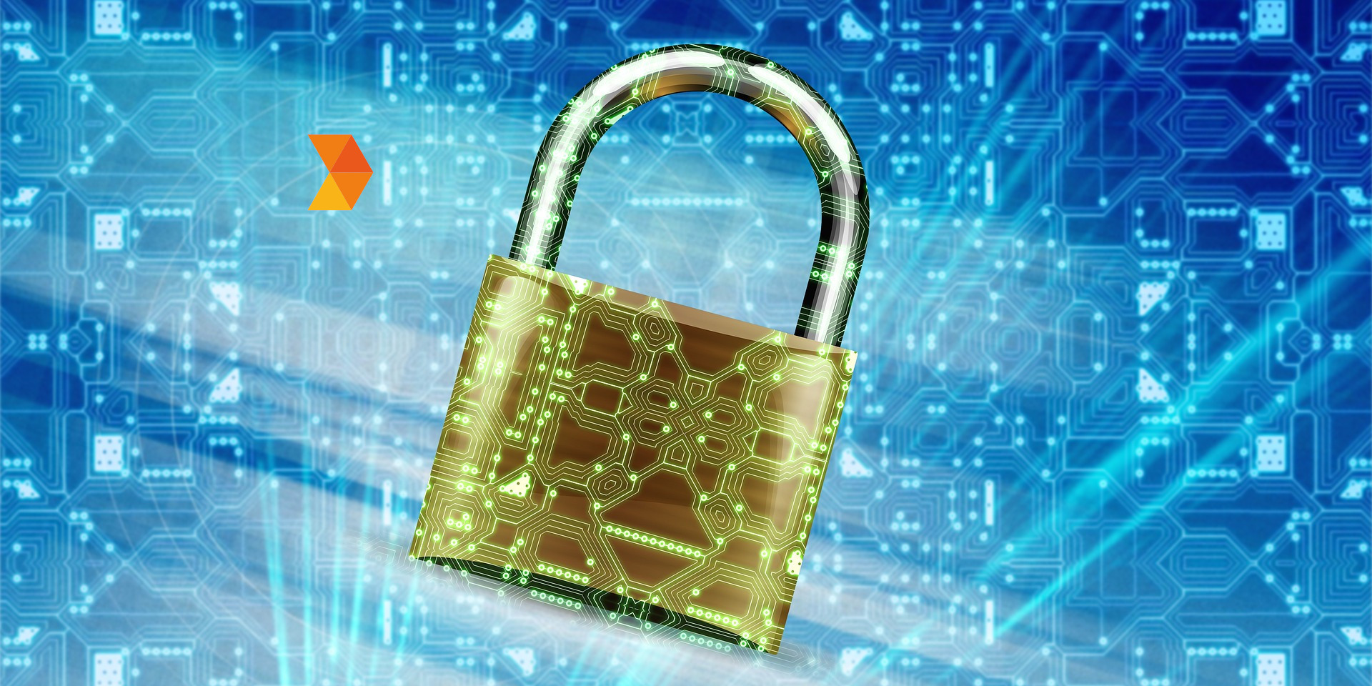 The CFO's Role in Cybersecurity